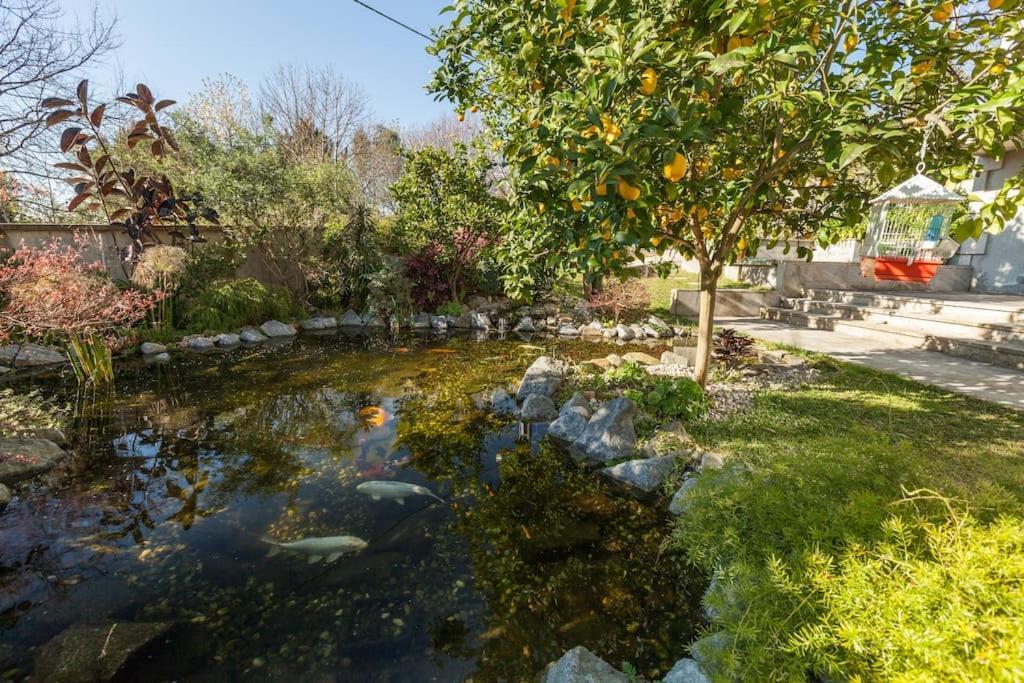 Sweet Home Braga - 4 Rooms Apartment 外观 照片